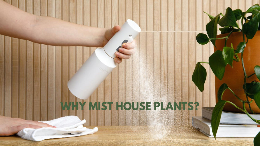 Why Choose an Electric Spray Bottle?