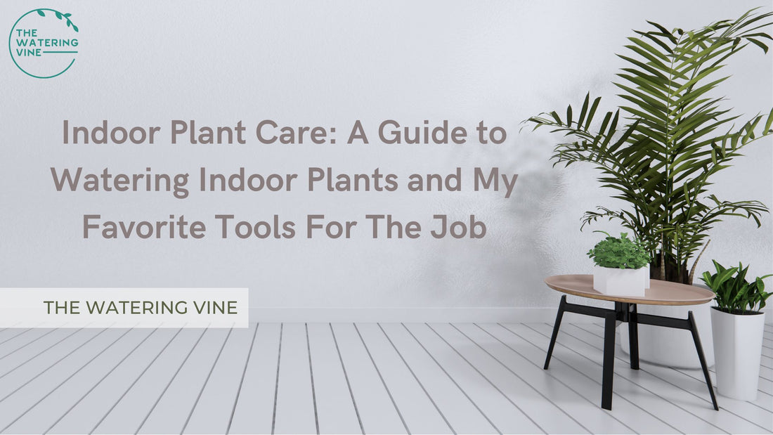 Indoor Plant Care: A Guide to Watering Indoor Plants and My Favorite Tools For The Job
