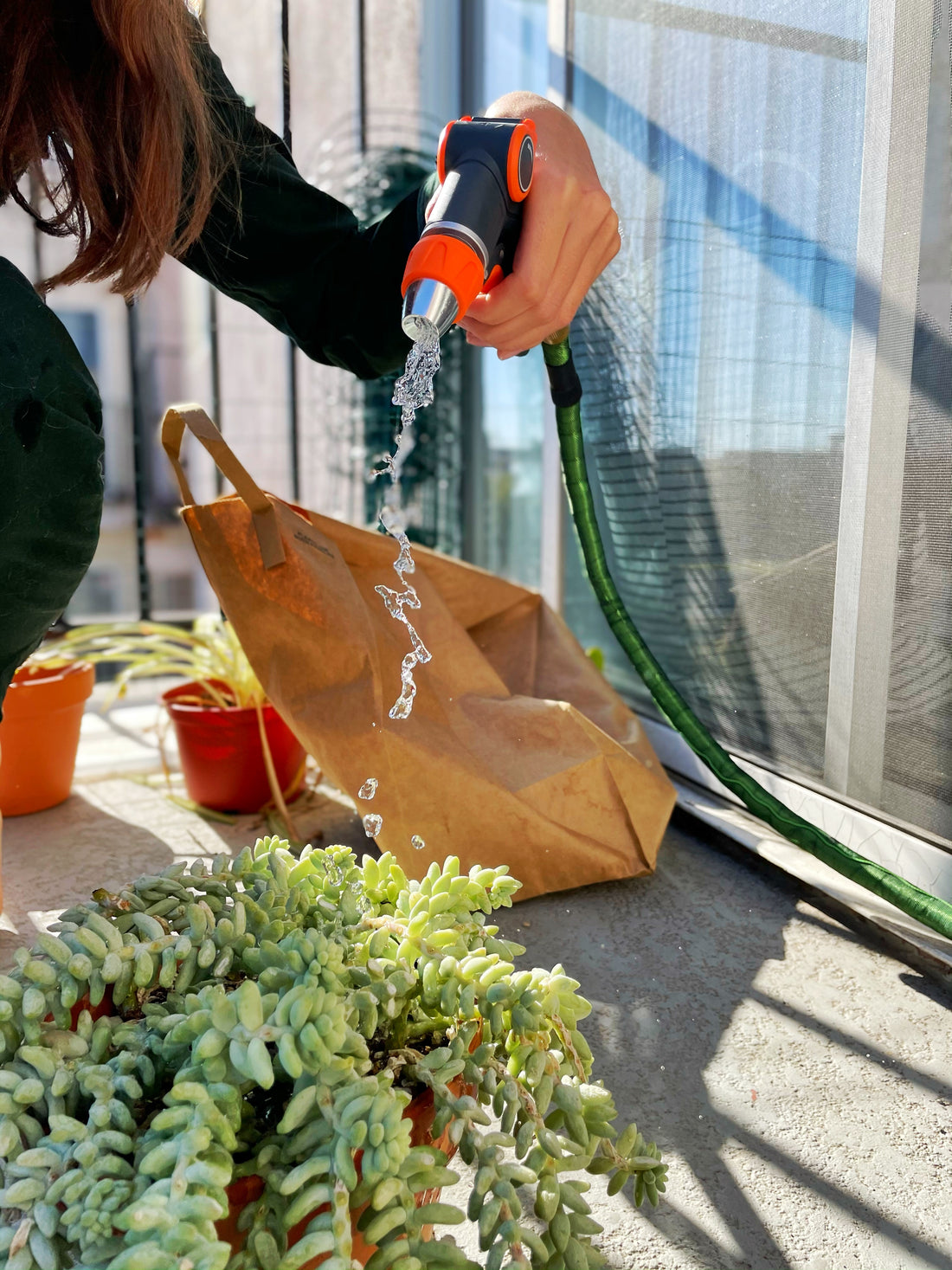 3 Quick & Easy Tips to Properly Water Your House Plants