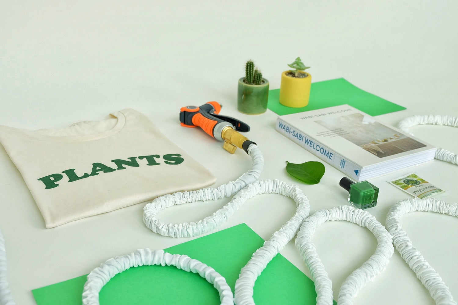 The Watering Vine flat lay including indoor house plant and gardening equipment